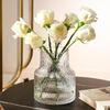 Trendy Transparent Glass Hydroponic Flower Vase for Fresh Roses - Elegant Living Room/Dining Table Decor