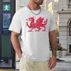 WALES FLAG RED DRAGON (DISTRESSED) Classic T-shirt Harajuku Sport  Casual Tees Graphic Vintage Aactivity Competition Eur Size