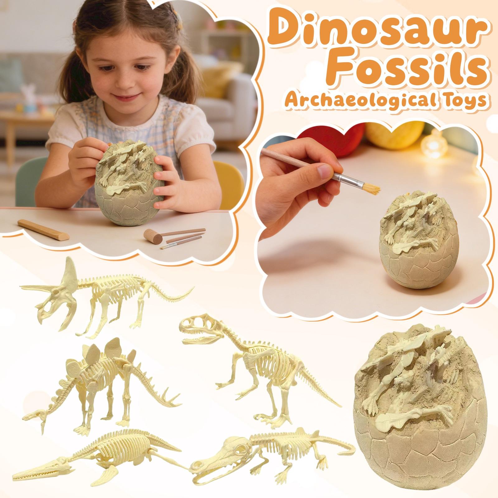 

Dinosaur Excavation Archaeological Model Toy Simulation Skeleton Treasure Gift One Size