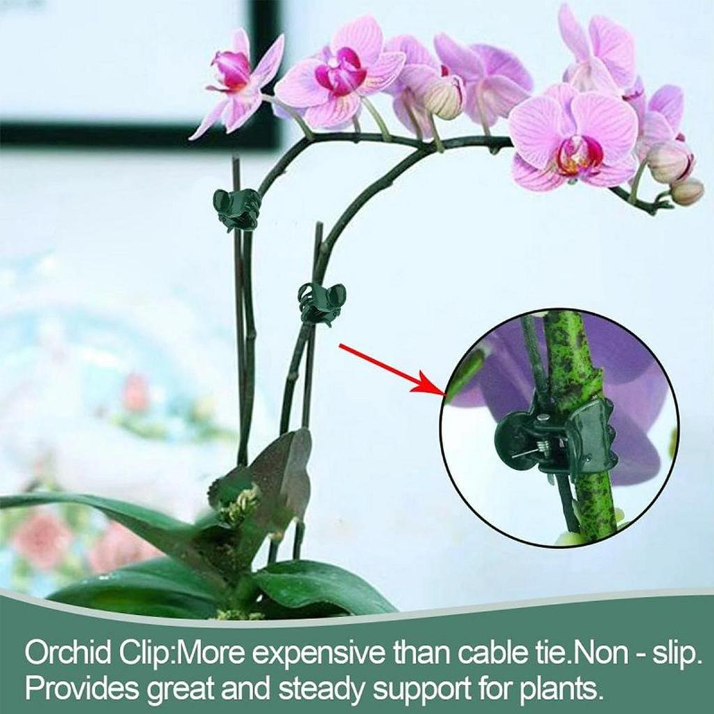 Garden Plant Stakes Potted Plants Stakes With Clips Bendable Stem Climbing Sticks Fixing Clamps For Vegetables Tomato Strawberry