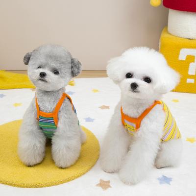 Haustier Hund Hunde Kleidung kleiner Hund Teddy Bär Zwergspitz Frühling Sommer dünn Träger Weste