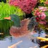 Simulation Duck Statue Animal Mold Decoration Resin Crafts Gardening Courtyard Decoration