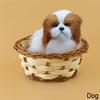 Simulation Plush Animal Toy Plush Animal Toy Animal Cat Doll Dog Stuffed Toy Basket Bunny Figure