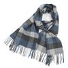 Cashmere Wool Scarf Women's Winter Warm Men's Scarf Autumn and Winter New Tassel Korean Style Plaid Scarf