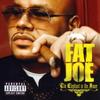 CD FAT JOE - Слон в комнате 5099952101229 Terror Squad В 2008 Европа Рэп и хип-хоп/R&B Б/У