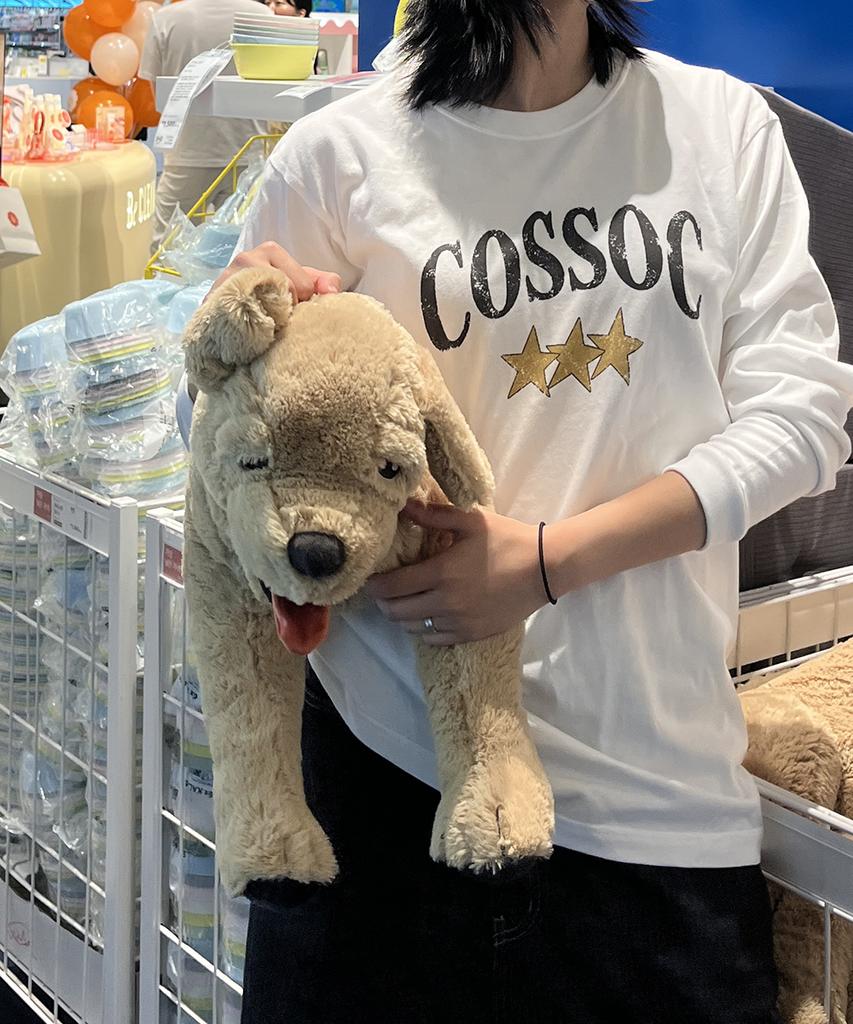 Koso Star Crack Long Sleeve (White)
