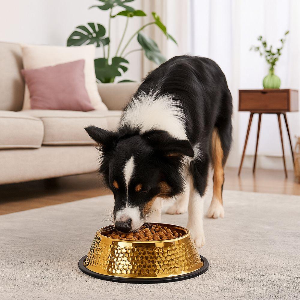 Large Capacity Pet Feeding Bowl Stainless Steel Gold Plated Dog Drinking Basin Anti Slip Metal Cat Food Dish For Dogs Cats