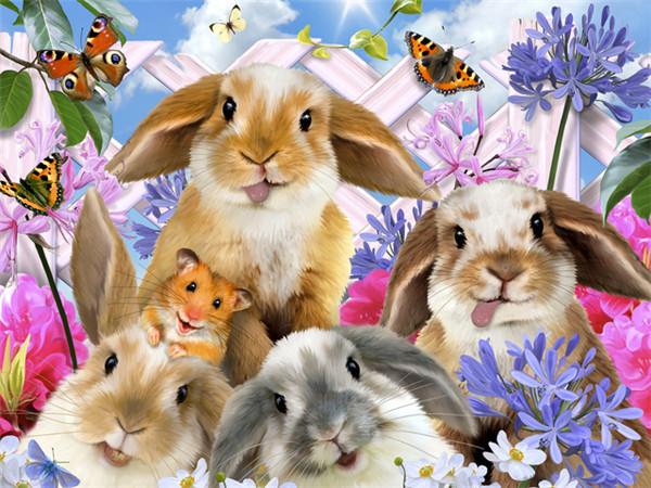 

5D Алмазная вышивка кролик полная квадратная Новое поступление алмазная живопись животное набор для вышивки крестом мозаичная картина украшение дома Round Drill 25x35cm