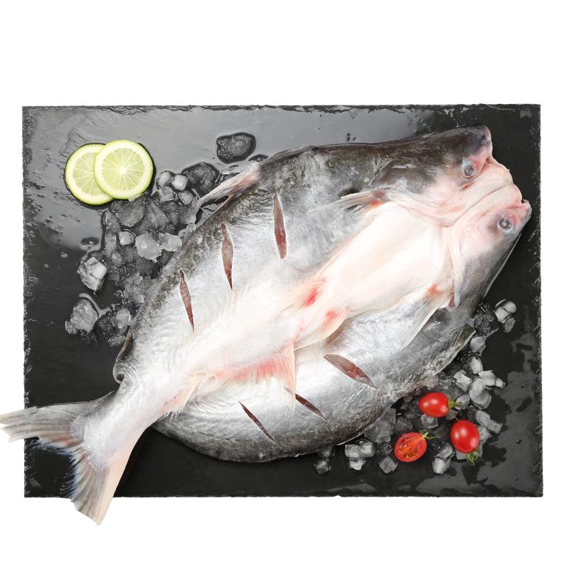 Fishing Log Frozen Basa Fish