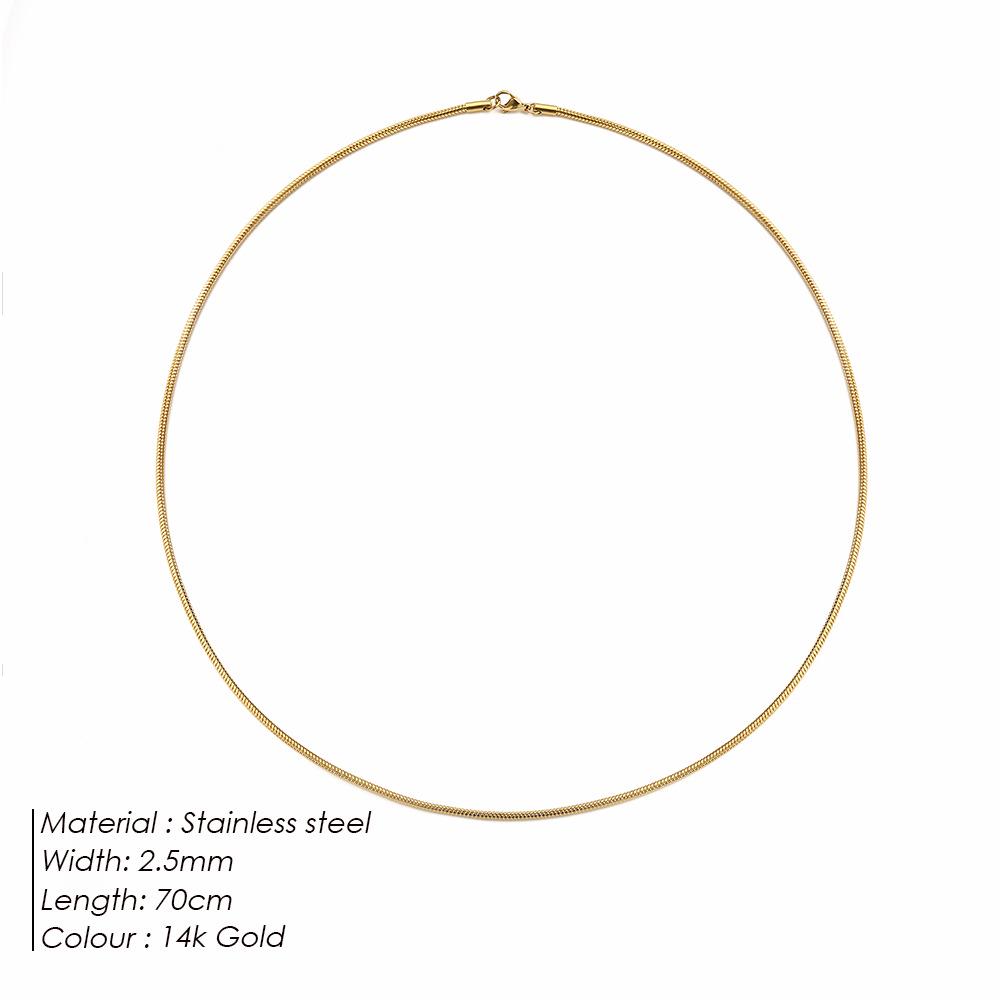 eManco Titanium Steel Round Chain Necklace - Simple European/American Style for Women and Couples, Long Snake Bone Chain, Clavicle Design.
