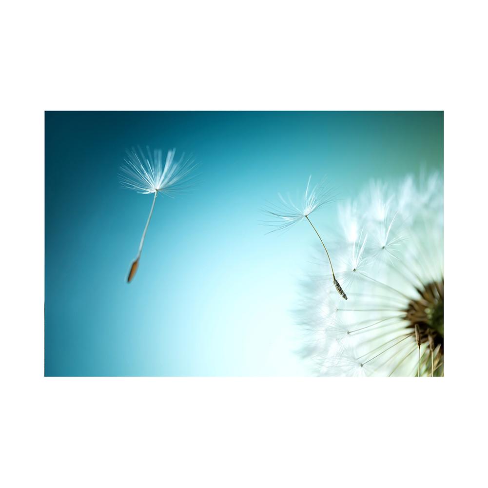 Romantic Dandelion Background Tapestry for Events,Party Banner,Home Decor,Weddings,Photo Booths