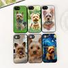 for Samsung Galaxy S10 S8 S9 Plus A33 A34 A31 70 A71 A72 Note 20 9 8 S10E Phone Case Yorkshire Terrier Yorkie Dachshund Dog