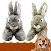 Realistisches Plüsch-Kaninchen-Hundespielzeug, langlebig, kaubeständig, quietschendes Spielzeug für kleine Hunde