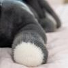 Lazy Lying Down Gray Donkey Plush Toy Soft Fluffy Cartoon Baby Donkey Pillow Cute Stuffed Animal Plushie For Girl Boy