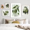 Green Plant Monstera Scallop Boho Abstract Flower Nordic Wall Art Canvas Painting Posters Prints Pictures for Living Room Decor No Frame