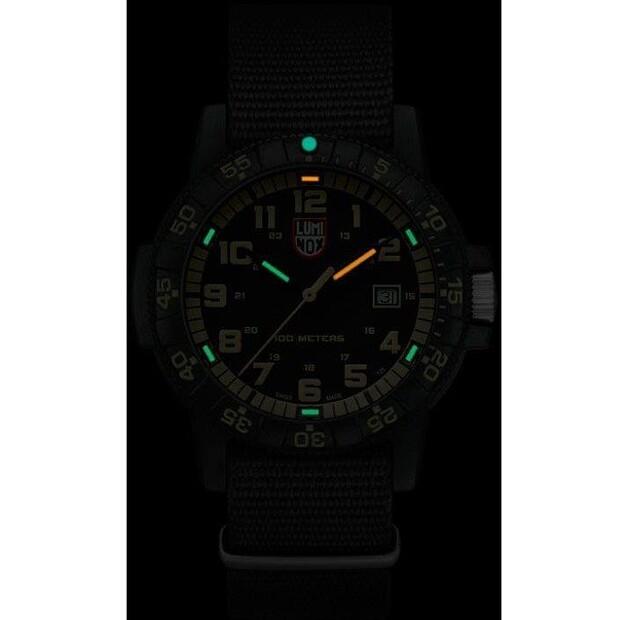 Часы Luminox XS.0333