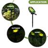 Lazy Frog Solar LED Garden Stake Light - Resin Figurine, Waterproof Outdoor Decor for Yard Patio Lawn & Pathway Funny Gift Idea