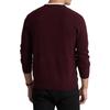 Polo Ralph Lauren FW23 Solid Logo Embroidered Crew Neck Long Sleeve Sweater Men Sweater MNPOSWE16821262-601