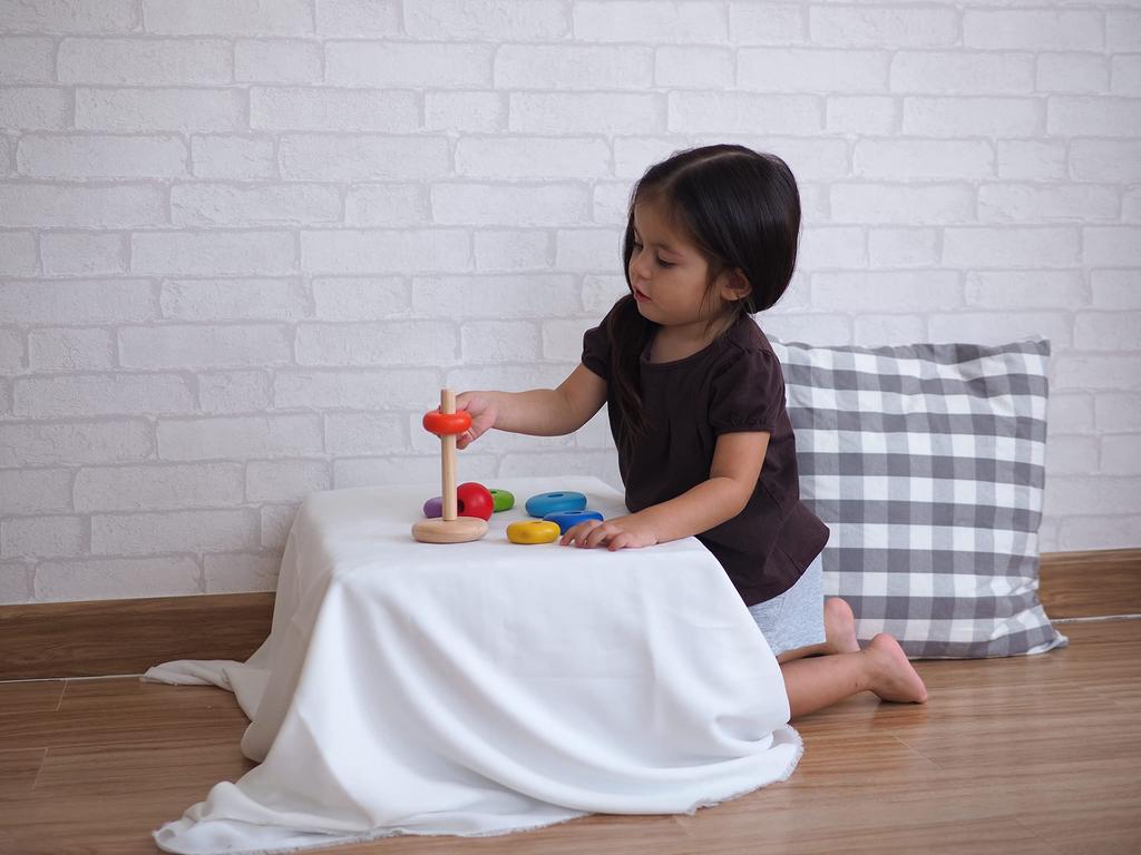 PLANTOYS 5124 Stapelring