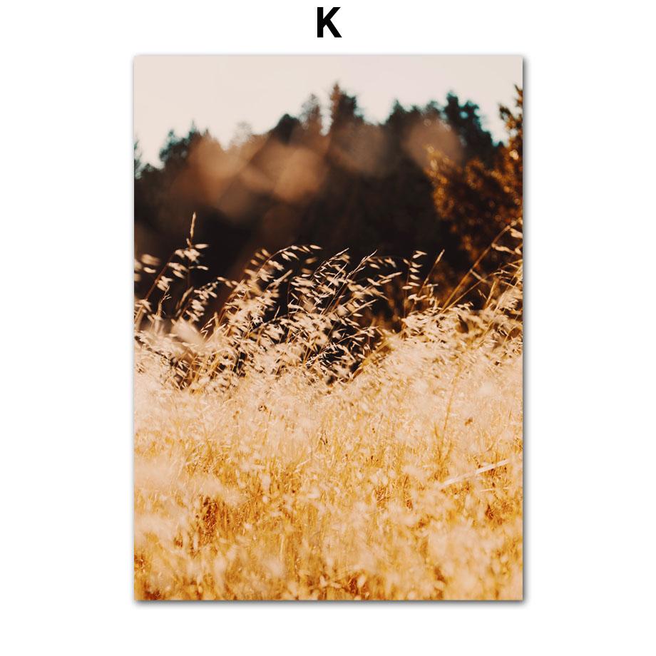 

Осенний пейзаж Кленовый лес Лось Пшеница Тростник Цветок Сова Плакаты Печать Скандинавское настенное искусство Картина на холсте Гостиная Домашний декор 21x30cm No Framed