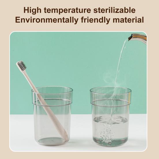 Universal Toothbrush Holders 2 in 1 Compact PP Multi-Functional Bathroom Storage Organizer for Travel