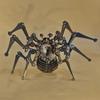 Time Spider Stainless Steel Static Mechanical Insect Model Handicraft DIY Assembly Toy Finished Punk Decoration