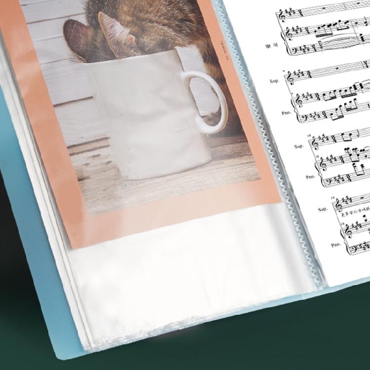 Big Capacity Presentation Folder with 100 Pocket Display Folders for School Presentations Insurance Financial Documents