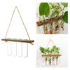 Clear Hanging Vase Flower Plant Terrarium Glass for Home