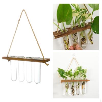 Klare Hängevase Blume Pflanze Terrarium Glas für Zuhause