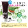 Tenstar Henna Color Treatment with Coloring Cap and Point for Gray Hair Made in Soft 250g x 2 Bottles Brush, Dye, Japan, Black,