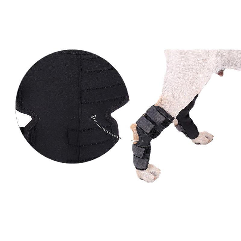 Pet Knee Braces for Dog Recovery and Joint Support