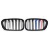 BMW 1 Series F20/F21 2015-2019 Tri-Color Double-Line Grille Trim