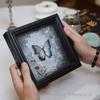 European 3D Butterfly Specimen Photo Frame Badge Emblem DIY Tabletop Frame