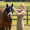 Maschera per cavallo con protezione per le orecchie, chiusura regolabile a strappo, copertura protettiva in rete per il viso per la prevenzione di insetti e mosche, attrezzatura equestre