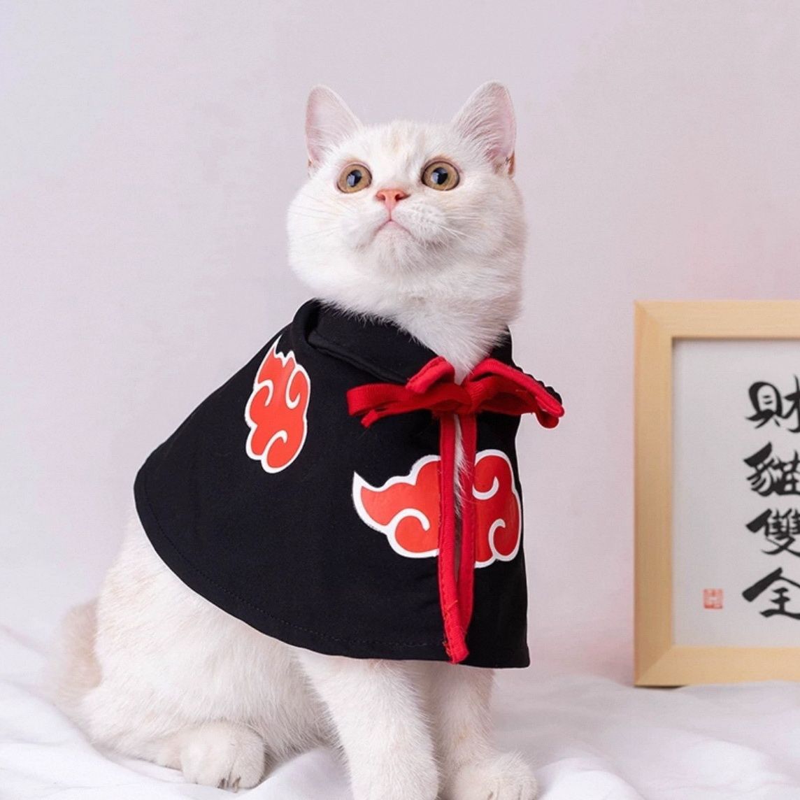 Cat Clothes Akatsuki Organization Cloak Dog
