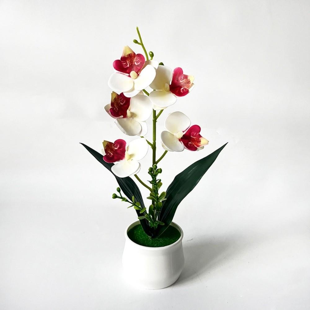 5 Heads Artificial Orchid Potted Flower Pink with White Pot Simulated Flower Butterfly Orchid Potted Plastic Multi-Bloom