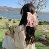 Ribbon Bowknot Hair Clips Barrettes Girls Headwear Sweet Spring Clip  Women Ponytail