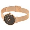 Daniel Wellington Petite 28mm Unisex Quartz Watch for Men and Women, Rose Gold (4) DW00600217 [Parallel Import]