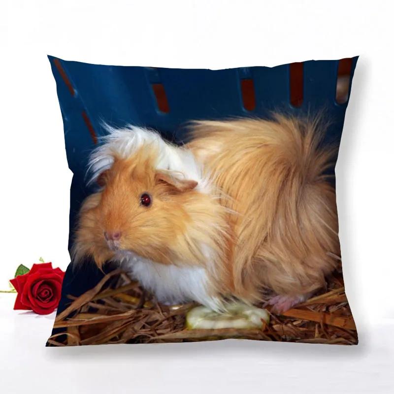 Guinea Pig Zipper Pillowcase Home Decor Satin Square  Bedroom