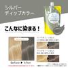 Dip Color Silver Color Treatment 500g Color Butter [Overwhelming Value] Tottimo!