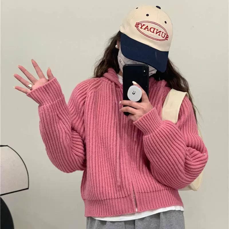 Hooded Short Knitted Cardigan Top Women's Autumn and Winter New Sweater Jacket Women's Loose Lazy Style
