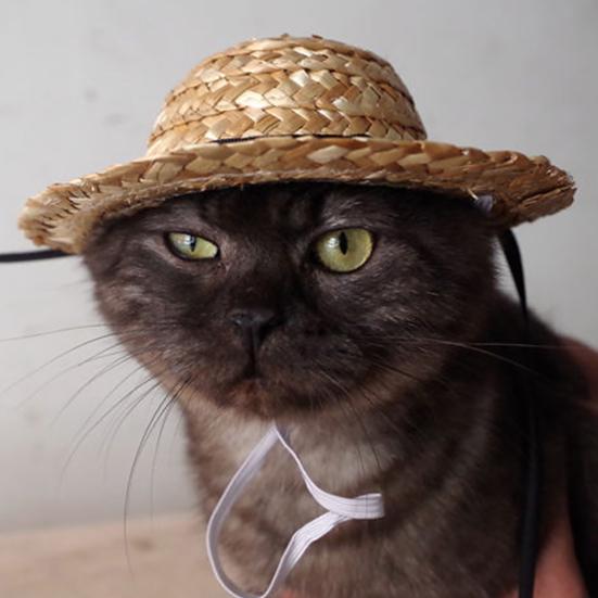 Cappello per Animali Traspirante di Paglia Estivo Animale Domestico Creativo Fatto a Mano Cappellino da Sole per Esterno