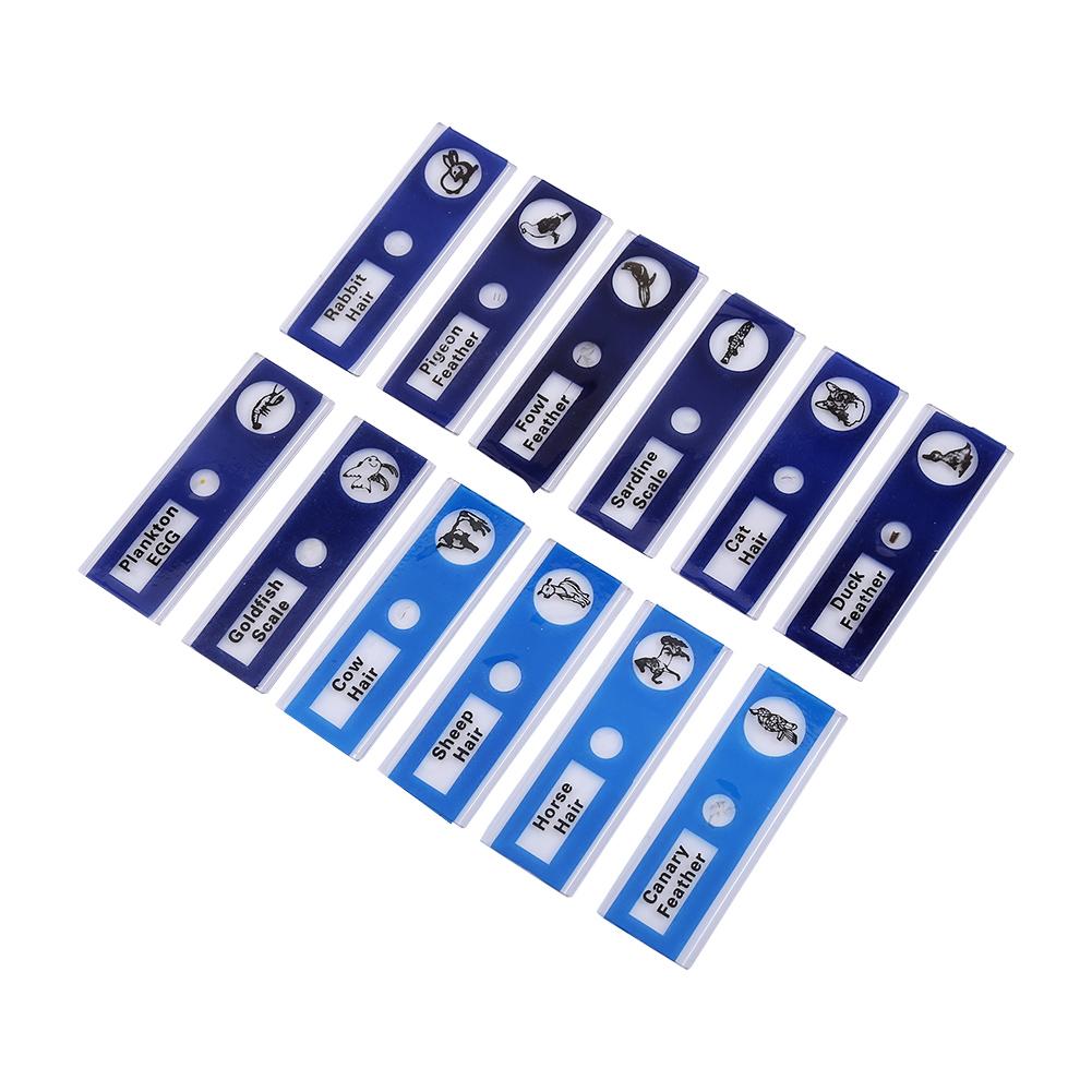  lantern slides, 4 Boxes Prepared Microscope Slides Animals Plants Flowers Sample Specimens(Red, Yellow, Blue, Green 12pcs box), Slides