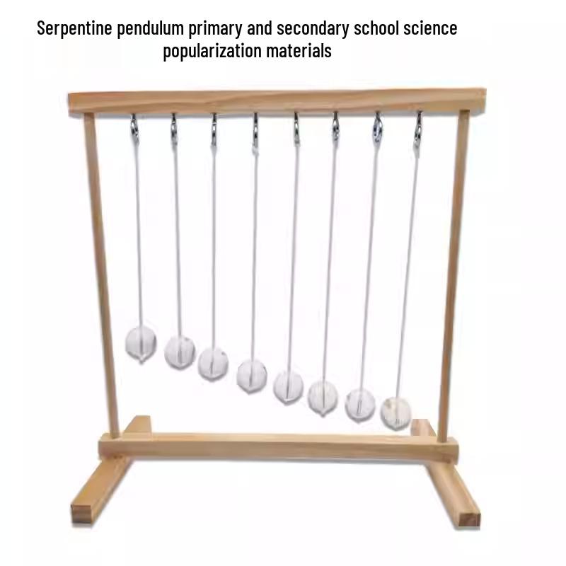 DIY Snake Pendulum Kit: Energy-Saving STEM Science Teaching Aid & Experimental Equipment Other