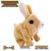 Plush Electric Walking & Barking Teddy Dog Simulation Toy for Children