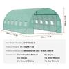 Walk-in Tunnel Greenhouse 19.36x9.68x6.5ft Galvanized Frame PE Cover Green