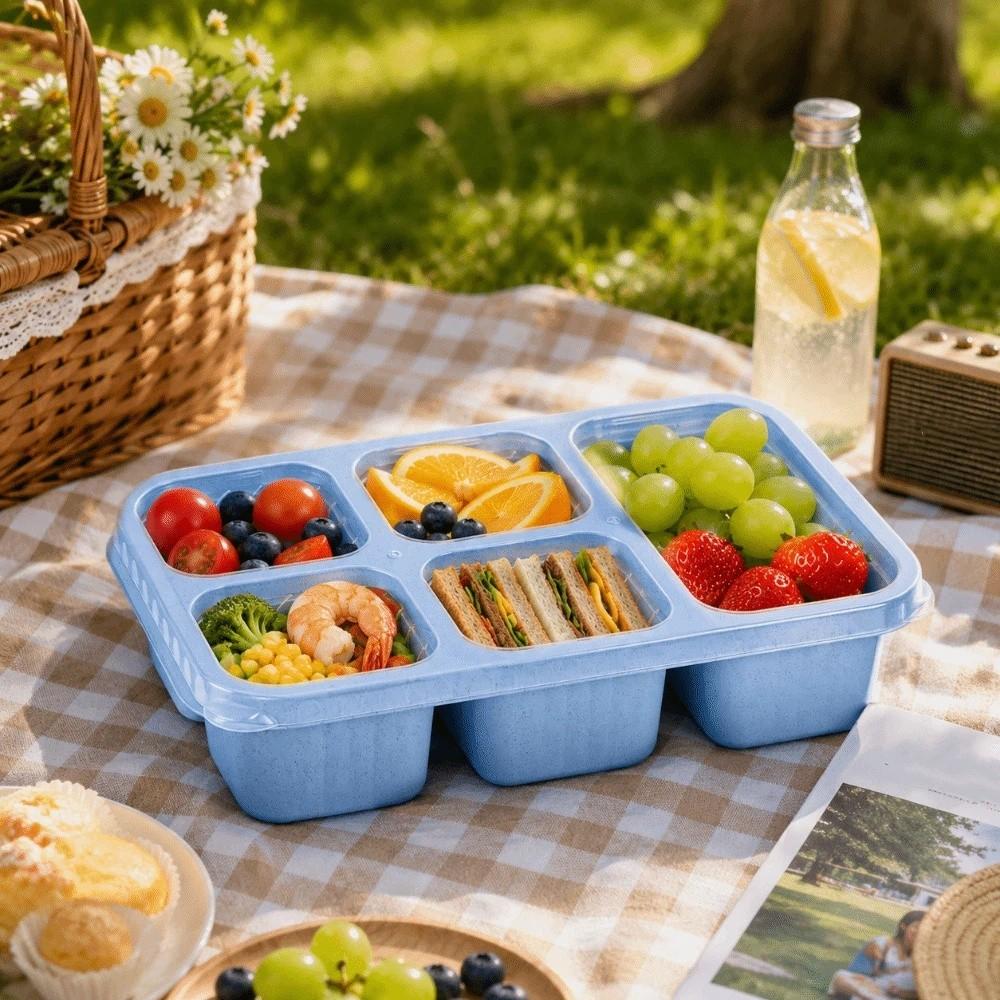 Plastic Fruits Box Transparent Lid Food Storage Box Fresh-keeping Lunch Box  Students
