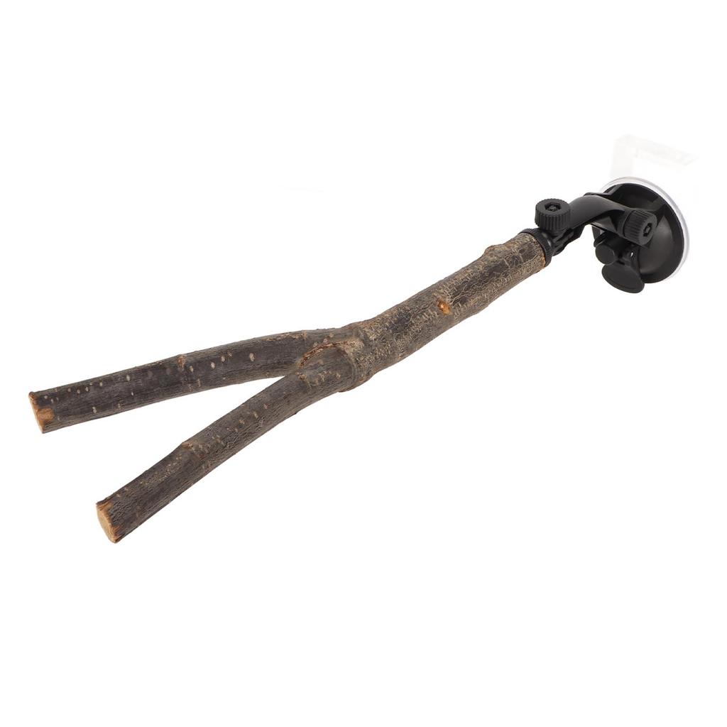 Fuglegren Abbor Stativ Trening Interaktiv Hindre skli Papegøyeabbor i tre med sugekopper for