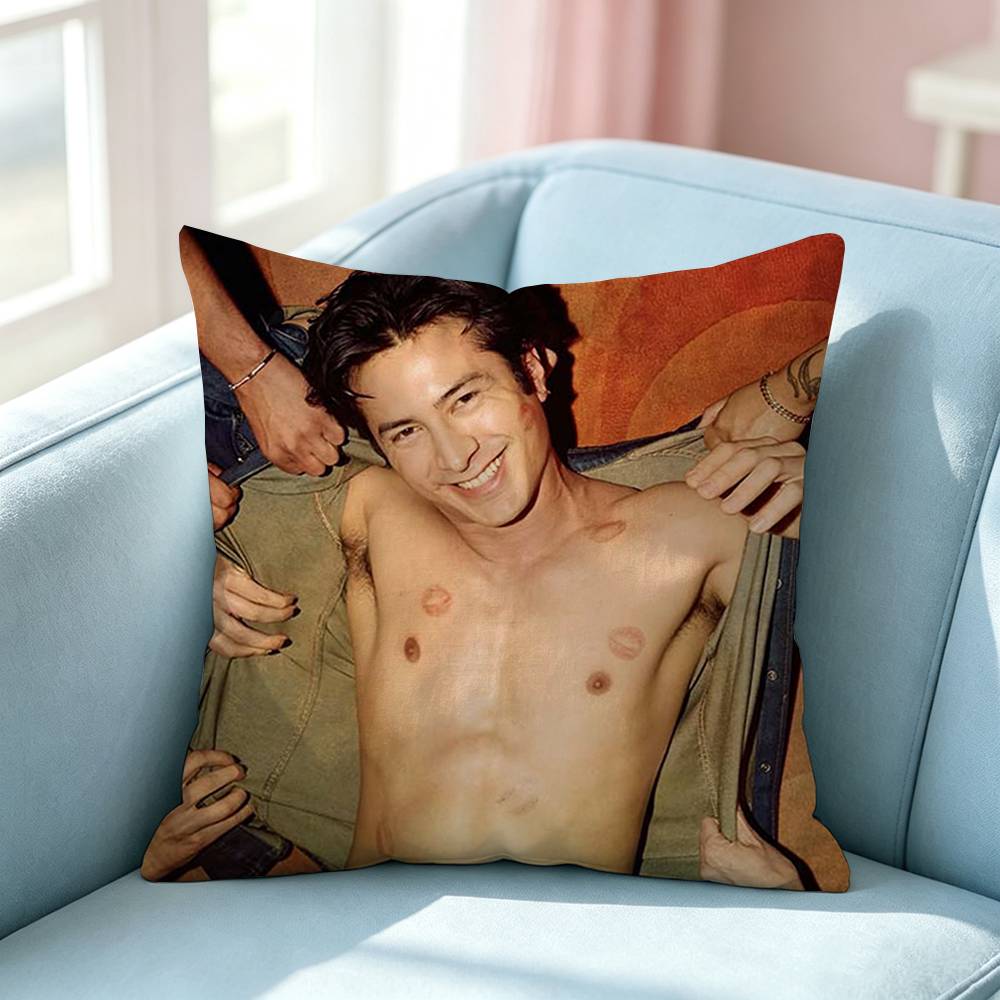 Hudson WWilliams SShane Hollander Pillow Case Square DoubleSided Sofa Cushion Cover Bedroom Bedside Pillow