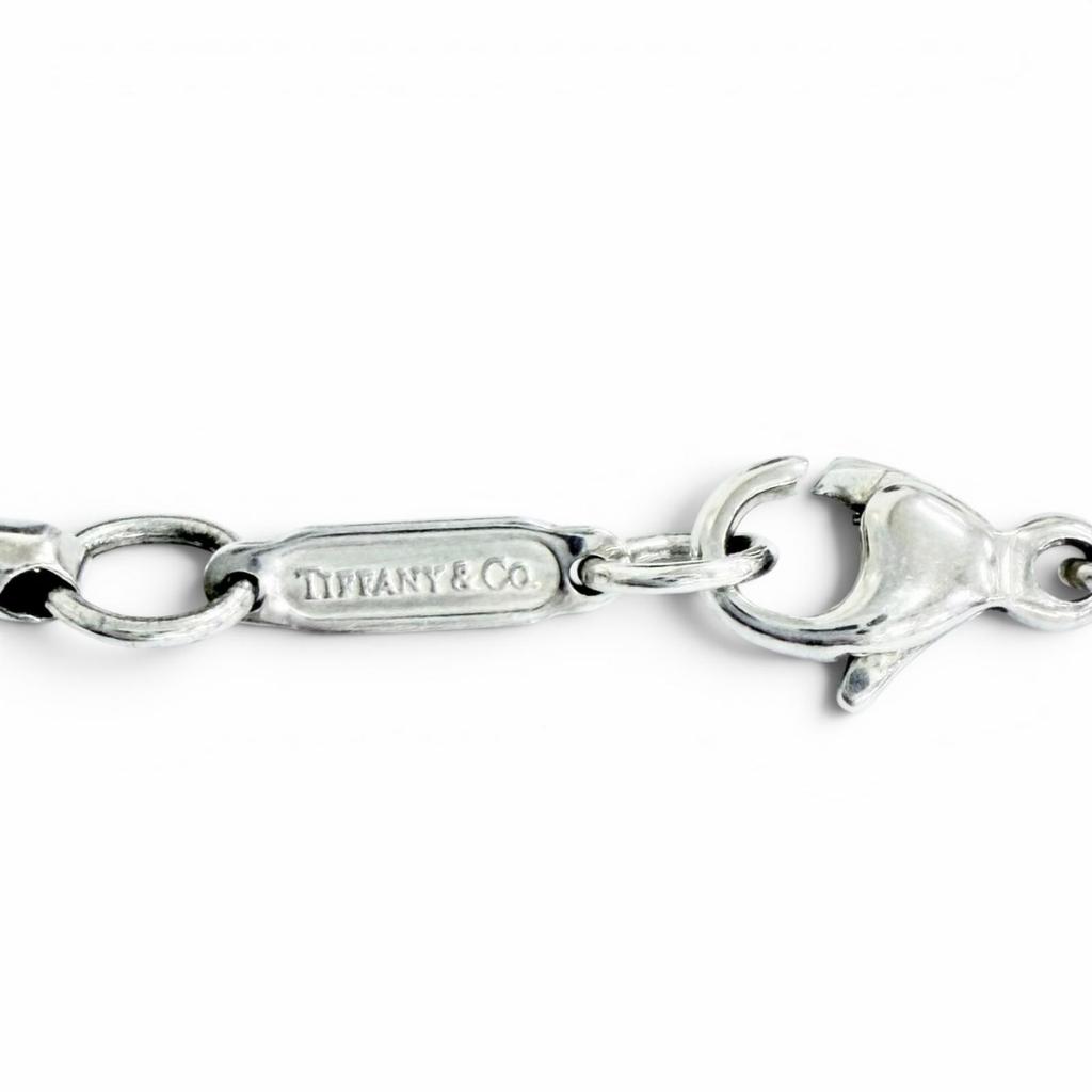 Great TIFFANY&Co. Necklace Oval Locket Pendant Necklace (Rare) Silver 925 Women Used
